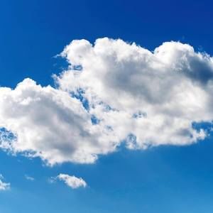 Meet your Posher, Lynn